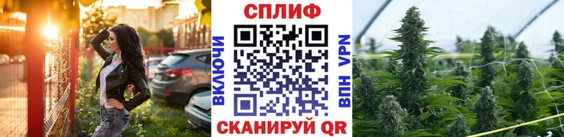 где найти Красный Кут Каннабис THC 21%
